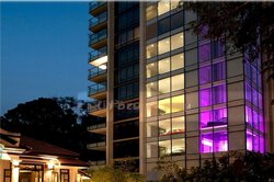 Reignwood Hamilton Scotts (D9), Apartment #502037361